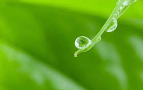 探索乐彩论坛首页，这里隐藏着你想知道的一切！