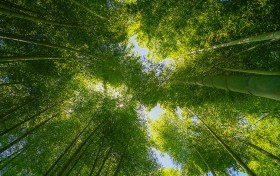 掌握这几点，轻松获取重庆时时彩开奖结果记录的秘密！