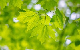这个方法，让你轻松掌握二四六天天好彩的选好资料技巧