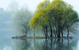 香巷六给开奖结果揭晓，这组号码能为你带来好运吗？