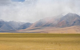 你的邻家雪姨，知道你不知道的那些秘密吗？